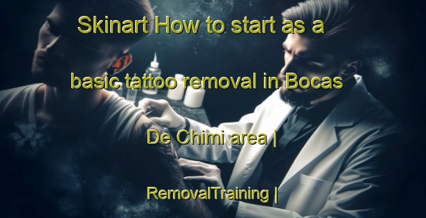 Skinart How to start as a basic tattoo removal in Bocas De Chimi area | RemovalTraining | RemovalClasses | SkinartTraining-Colombia